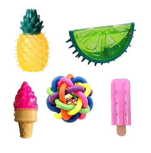 DOGTOWN Latex Interactive Training Fetch and Play Squeaky Toy -Combos Pineapple, Melon Fruit, Ice Cream