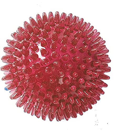 Solid Spike Ball Toy for Dogs